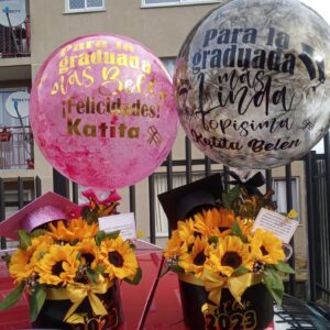 Mix girasoles +burbuja NORMAL $27.000